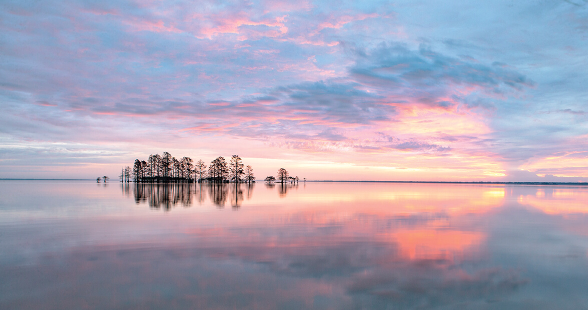 Spread the word! North Carolina State University (Raleigh, NC) is hiring a tenure-track freshwater fisheries & ecology position housed in @NCStateAEC. 🐺🐟💦 Apply here: jobs.ncsu.edu/postings/197018