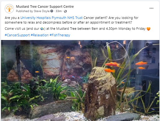 MustardTreePlym's tweet photo. Come visit us (and our🐠) at the Mustard Tree between 9am and 4.30pm Monday to Friday🧡
#CancerSupport #Relaxation #FishTherapy 
@UHP_NHS https://t.co/4ctNE5Ihr5