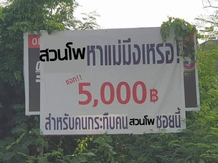 lolifroyd 🍮🩷 (@_lolifroyd) on Twitter photo 