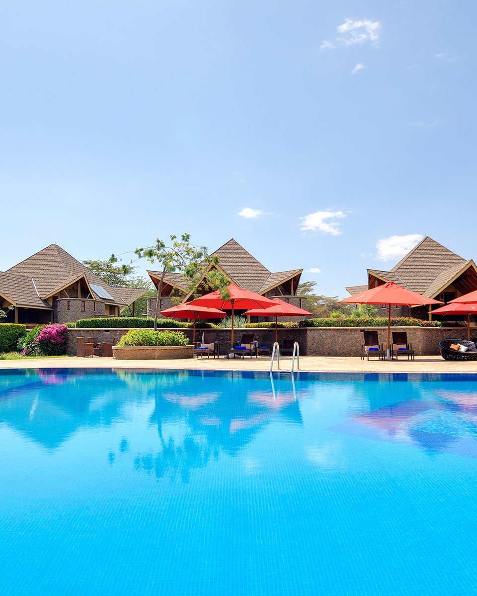 MaasaiSafaris's tweet photo. The Valentine Weekend is here with us🌹💕. What more could anyone ask for than a serene, serendipitous and a splendid destination 😍🌹.

Book Today: 0783999999 / 0796191919 / https://t.co/cEzW2xcEFM / https://t.co/CQDxn7VGzT

#valentinedeals #valentine #expeditionsmaasaisafaris https://t.co/jmzNGPtKdP