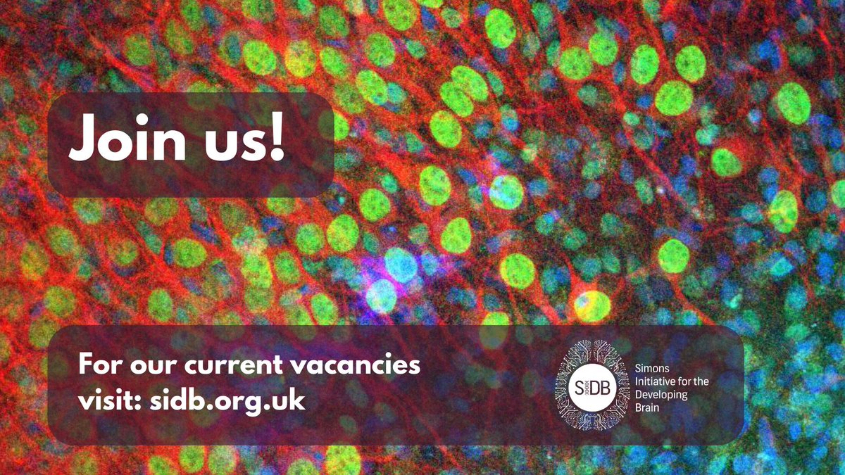 Do you have experience of molecular cell biology techniques with a flair for precise experimentation? We are looking for a Research Assistant/Laboratory Manager to work in the laboratory of Prof. Adrian Bird. Learn more and apply by 14th March: elxw.fa.em3.oraclecloud.com/hcmUI/Candidat…