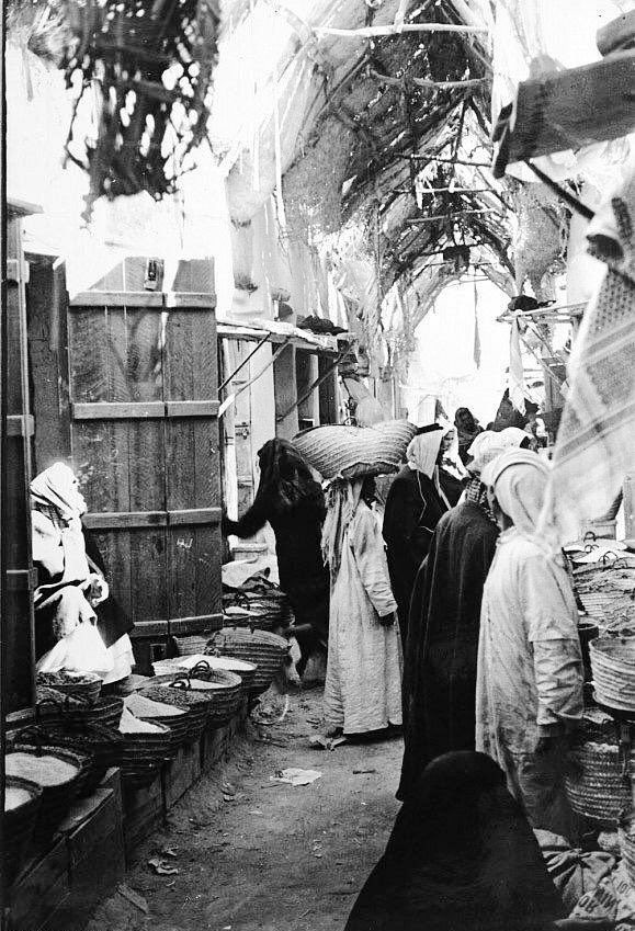 النشرة tweet media