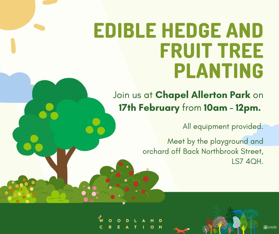 Get hands on planting edible hedges and fruit trees tomorrow in Chapel Allerton Park, 10am-12pm. 🍎🫐🌳 Contact Countryside Ranger Lucy with any questions on lucy.clarke@leeds.gov.uk
