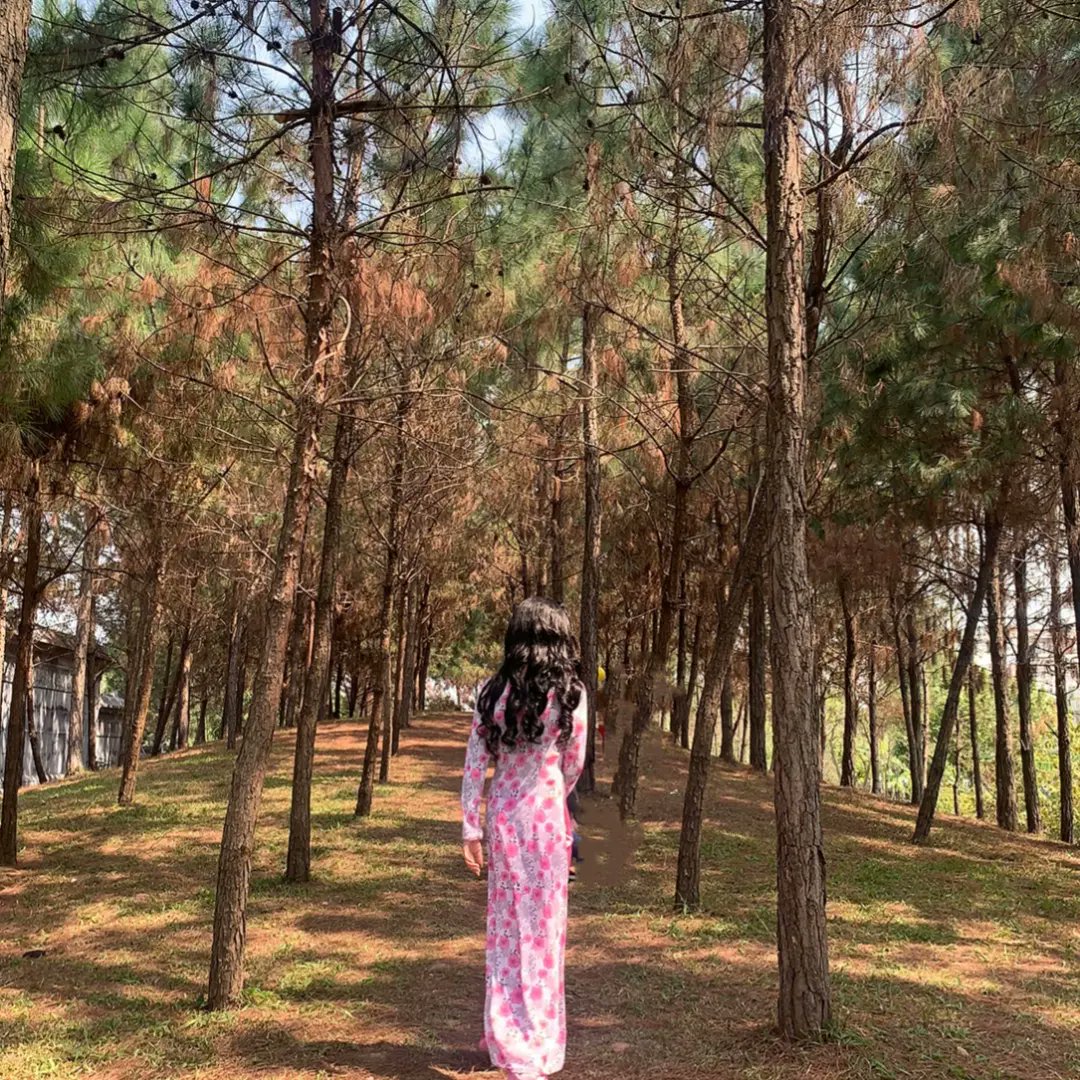 quỳnh trang tweet media
