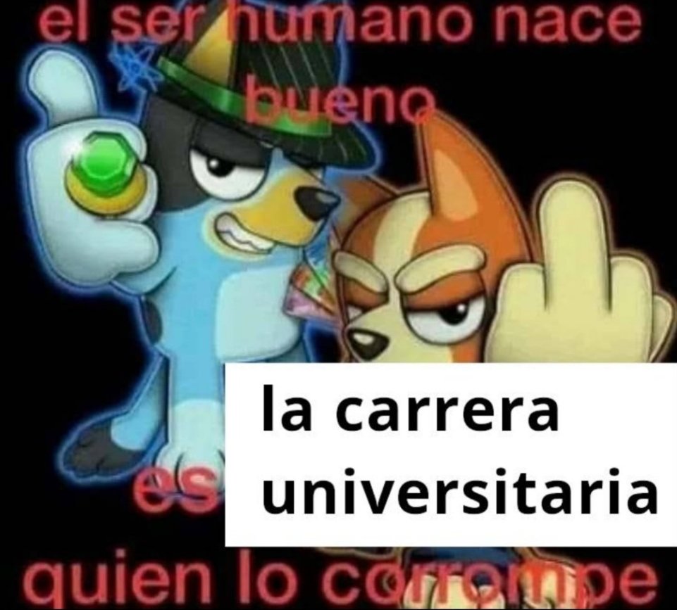 frigosouul's tweet image. 