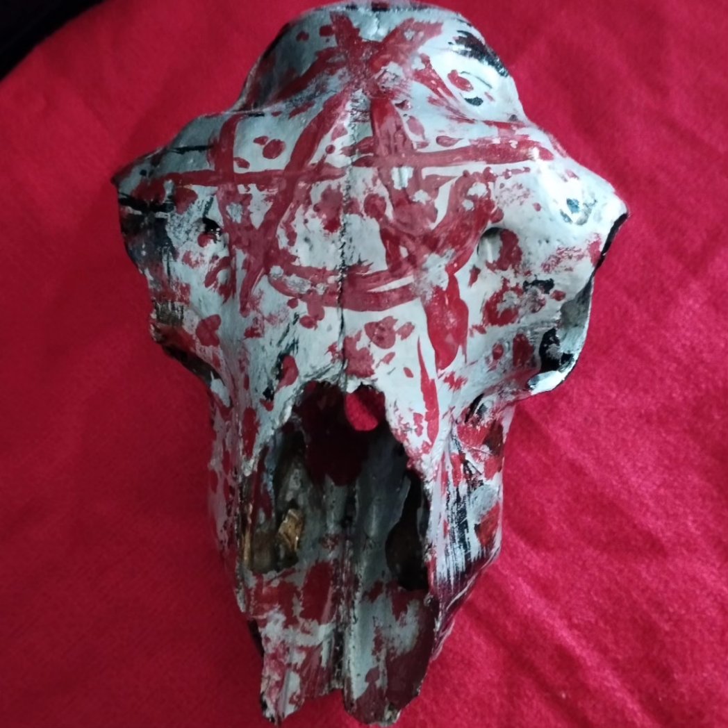 TraumArte6's tweet photo. For sale.
#oddities #bonesart #darkart #darkaesthetic #gothaesthetic
#blackmetal #ArtistsOnX https://t.co/l6rkpKl1d8