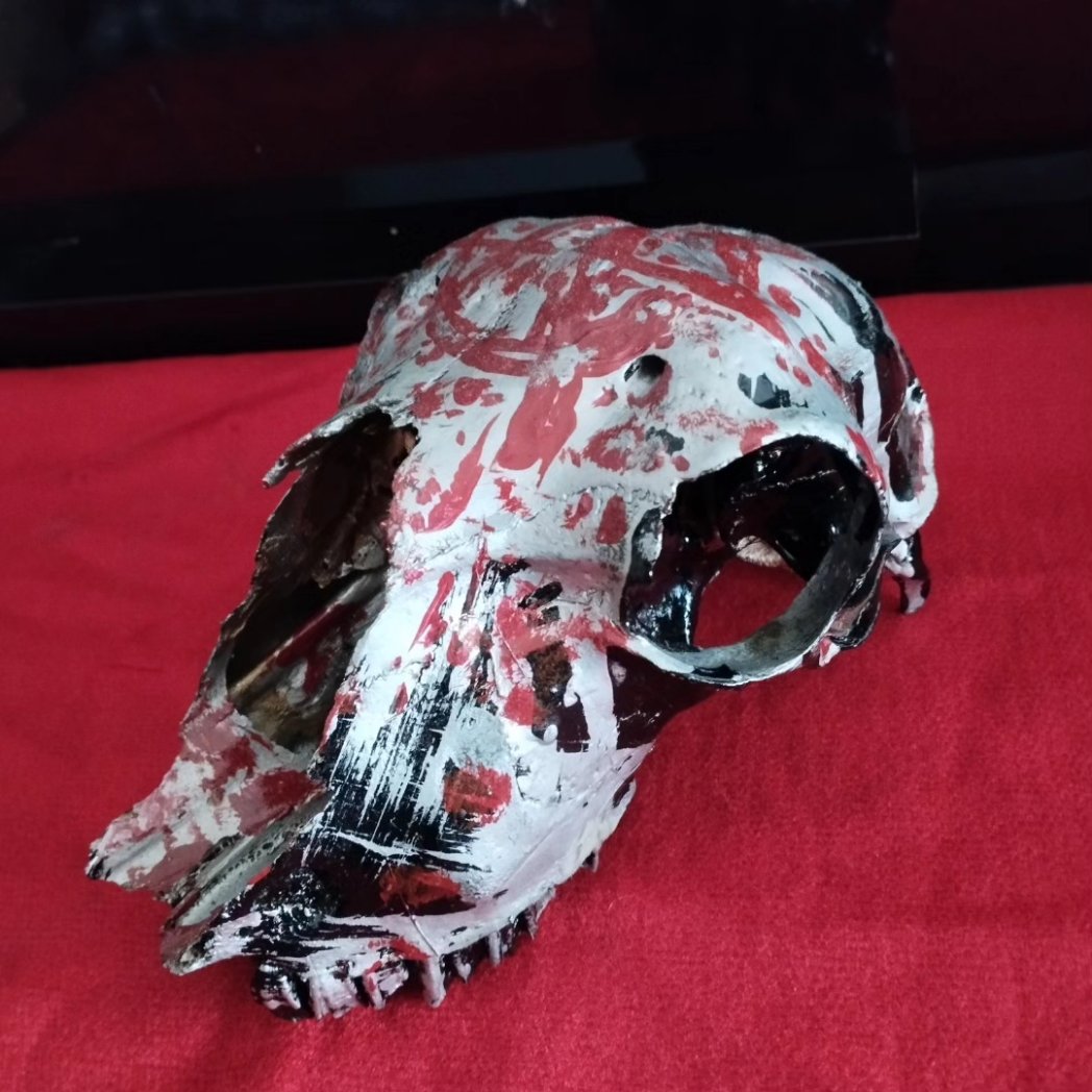 TraumArte6's tweet photo. For sale.
#oddities #bonesart #darkart #darkaesthetic #gothaesthetic
#blackmetal #ArtistsOnX https://t.co/l6rkpKl1d8