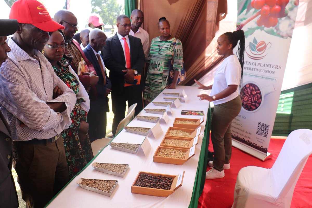 NewKpcu's tweet photo. Day 2 of the Delan Ruiru Coffee Fair 2024. Have you had a chance to engage with us at our stand?
#NewKPCU #newkpcudelivers #coffeeke #ccarf #DeliveringThePlan https://t.co/Ihvy9Itzca