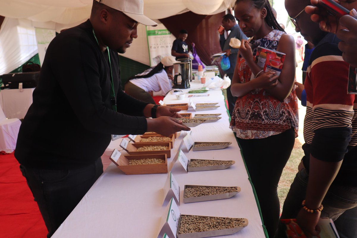 NewKpcu's tweet photo. Day 2 of the Delan Ruiru Coffee Fair 2024. Have you had a chance to engage with us at our stand?
#NewKPCU #newkpcudelivers #coffeeke #ccarf #DeliveringThePlan https://t.co/Ihvy9Itzca