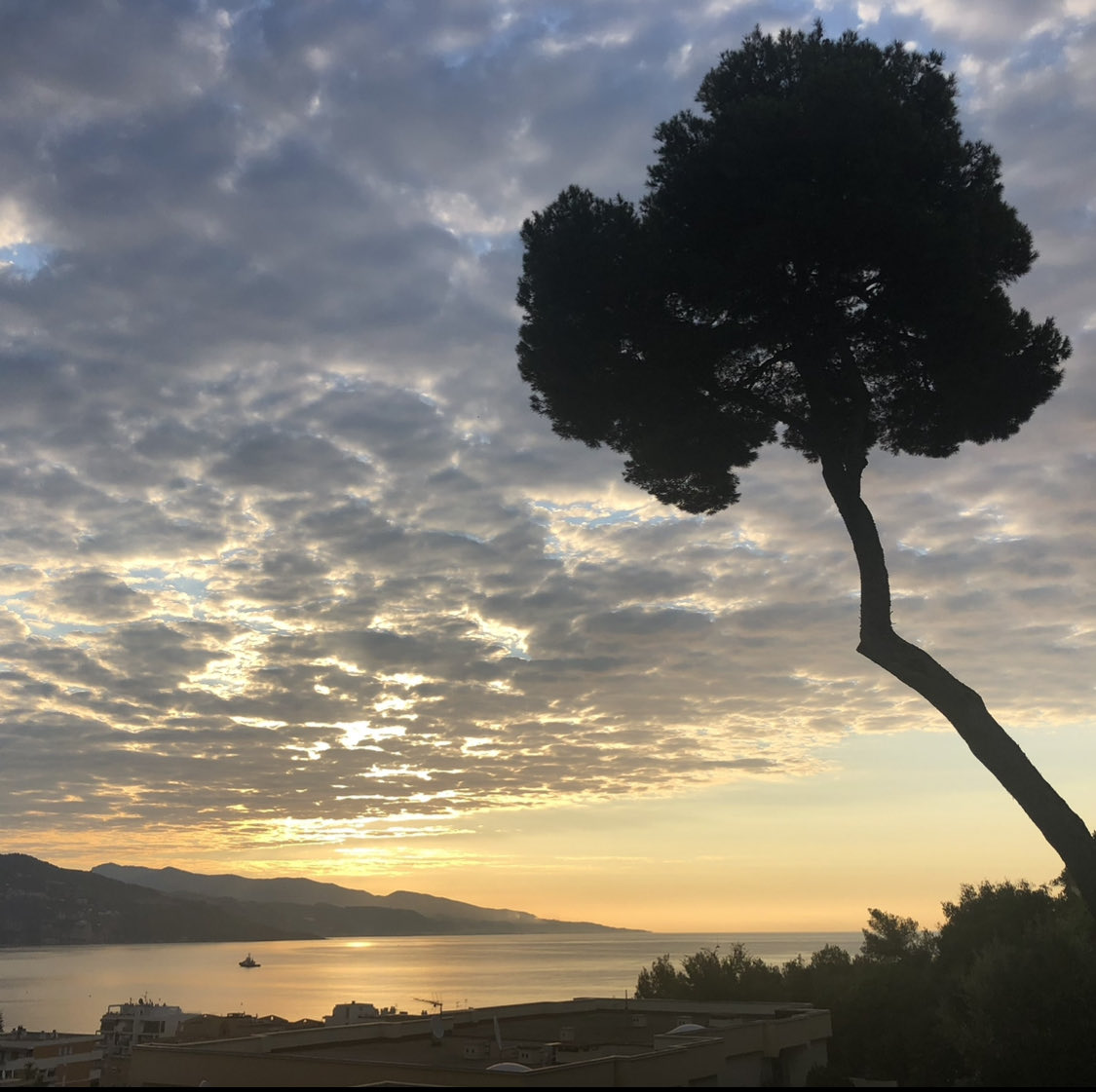 PinkTaxiRunner tweet media