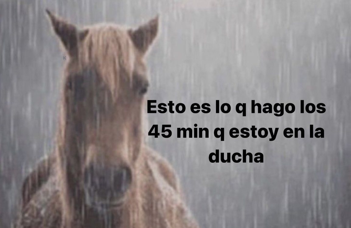 frigosouul's tweet image. 