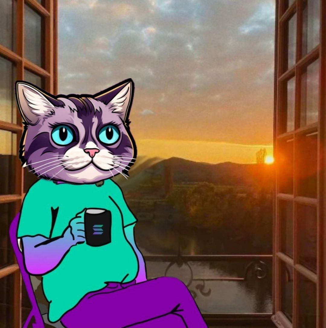 Silly Cat tweet media