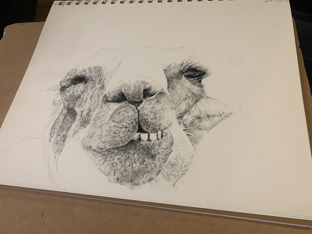 thepointart's tweet photo. @CazHallArt :) Not done, but still going! https://t.co/FHDivn9u3O