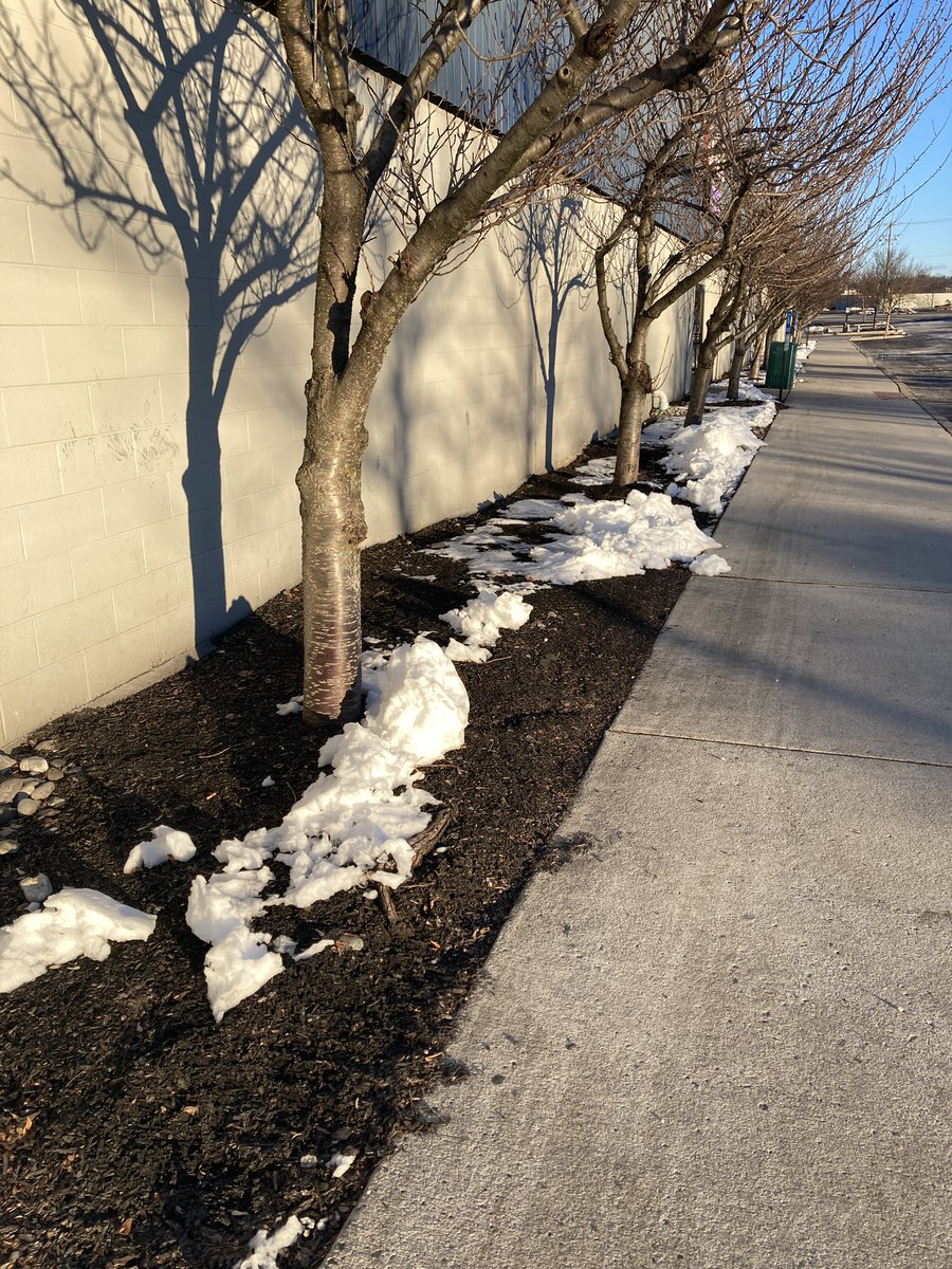 RGBLAN's tweet photo. SNOW ON THE GROUND. HALL E RISING. WRONG DOORS. 0 DAYS REMAIN.....it's RGB LAN 6 time!!!
#rgblan #rgblan6 #whydiditsnow #FRitscoldaf #useotherdoors https://t.co/Szt2P5O6GC