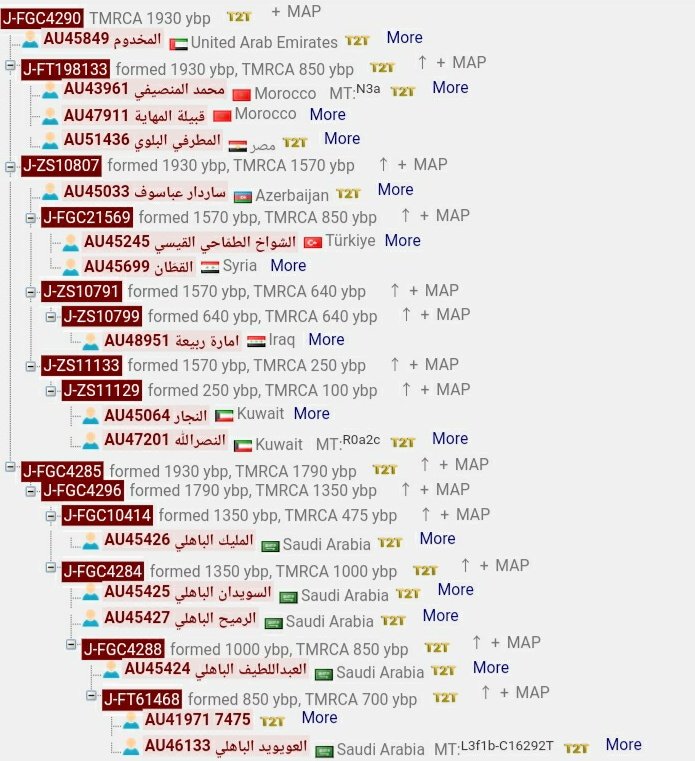 DNASyria's tweet photo. ظهرت نتيجة فحص شريحة J1 لعينة 53938، فرحان سامي عبد الحميد البيريني من بابا عمرو، حمص موجبة لتحور أعصر (جد باهلة وبني غني) FGC4290 من السلالة J1  وسالبة لكافة خطوطه القابلة للفحص الفردي
من المتوقع في حال ترقيتها WGS أن ترتبط مع عينة المخدوم أو تشكل فرع غنوي جديد من C150231 https://t.co/mnAyuD0kGA
