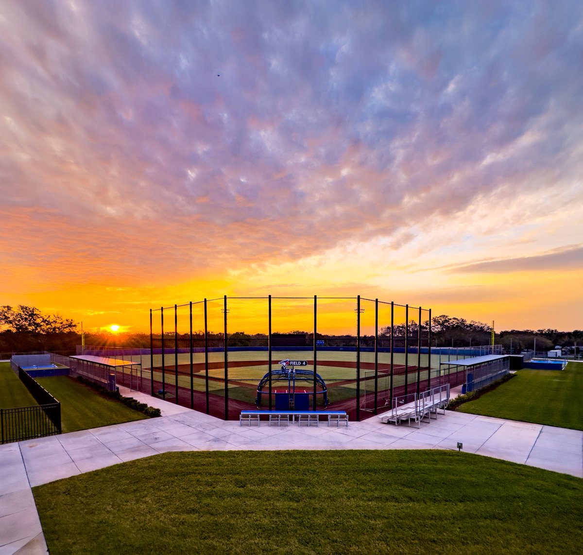 Toronto Blue Jays tweet media