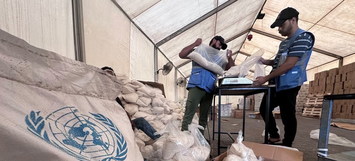 UNGeneva's tweet image. Despite unprecedented challenges, @UNRWA, the UN relief agency for Palestine refugees, continues to provide lifesaving supplies, and health, social &amp;amp; psychological services to more than 1.5 million displaced people in southern #Gaza.

buff.ly/48eGJRC