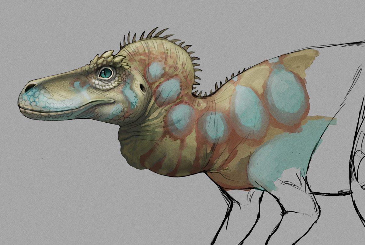wowie, I haven't posted on twitter in awhile I've mostly been sticking to Instagram 😵‍💫 but here's a little Isle Herrerasaurus doodle