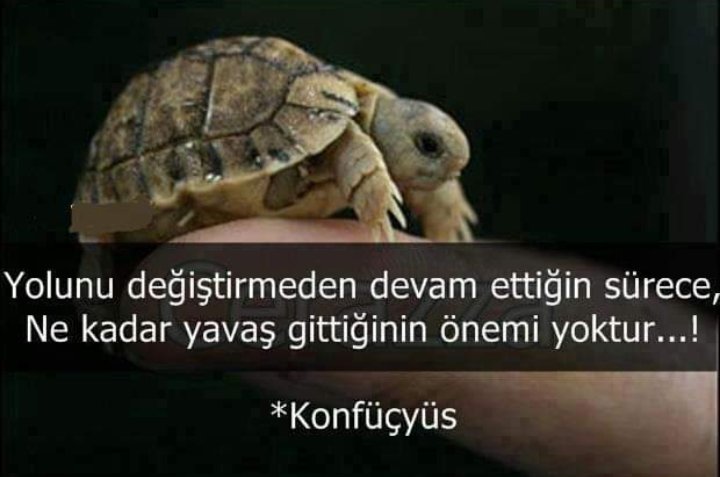 MehmetD16655031's tweet photo. Gitmek;
Yol almak değildir,
Kalmak da; Durmak..
,
Düşünceler özgürdür,
Söylenemeyenlerse; Tutsak..
@aborizma2
#gitmekk #kalmakk #düşünmekk https://t.co/9CvfrjoyU2