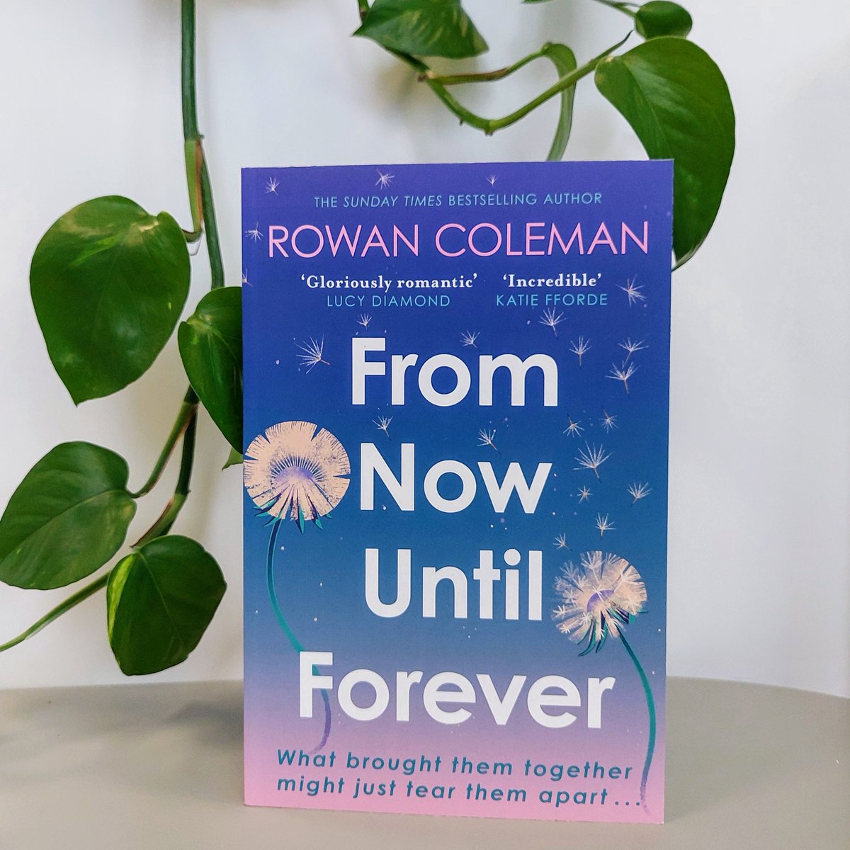 TeamBookends's tweet photo. 💖PRIZE DRAW💖
Valentine's Day may be over, but we're still sharing the love... For the chance to win a paperback copy of FROM NOW UNTIL FOREVER, simply RT this post and follow @TeamBookends and @rowancoleman! UK only, closes 11:59pm 19/02/2024, T&amp;C's: https://t.co/ZyZt6GSNdv https://t.co/U4Mdo8QPcB