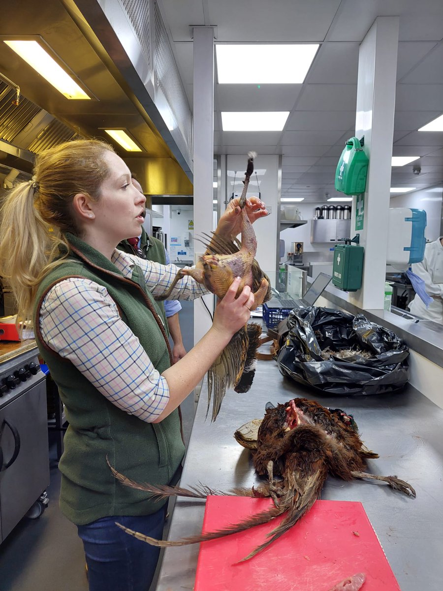 The Meadows - North Hertfordshire College tweet media