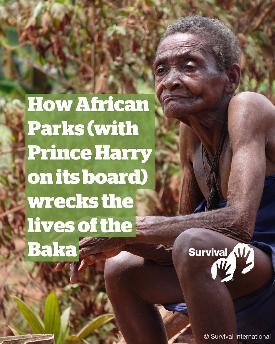 nancytsidley's tweet photo. H&amp;M don’t care about Indigenous tribes. Harry &amp; @AfricanParks are committing green genocide. #JusticeForTheBaka #FOHarry #InvictusSpirit #sharedjourney #InvictusGamesVancouverWhistler
#ExploreTogether #IG25 #InvictusGames25 #IG2025 
Please share 👇👇 

https://t.co/kCgqOoC9gQ… https://t.co/5fVIuE6IJn