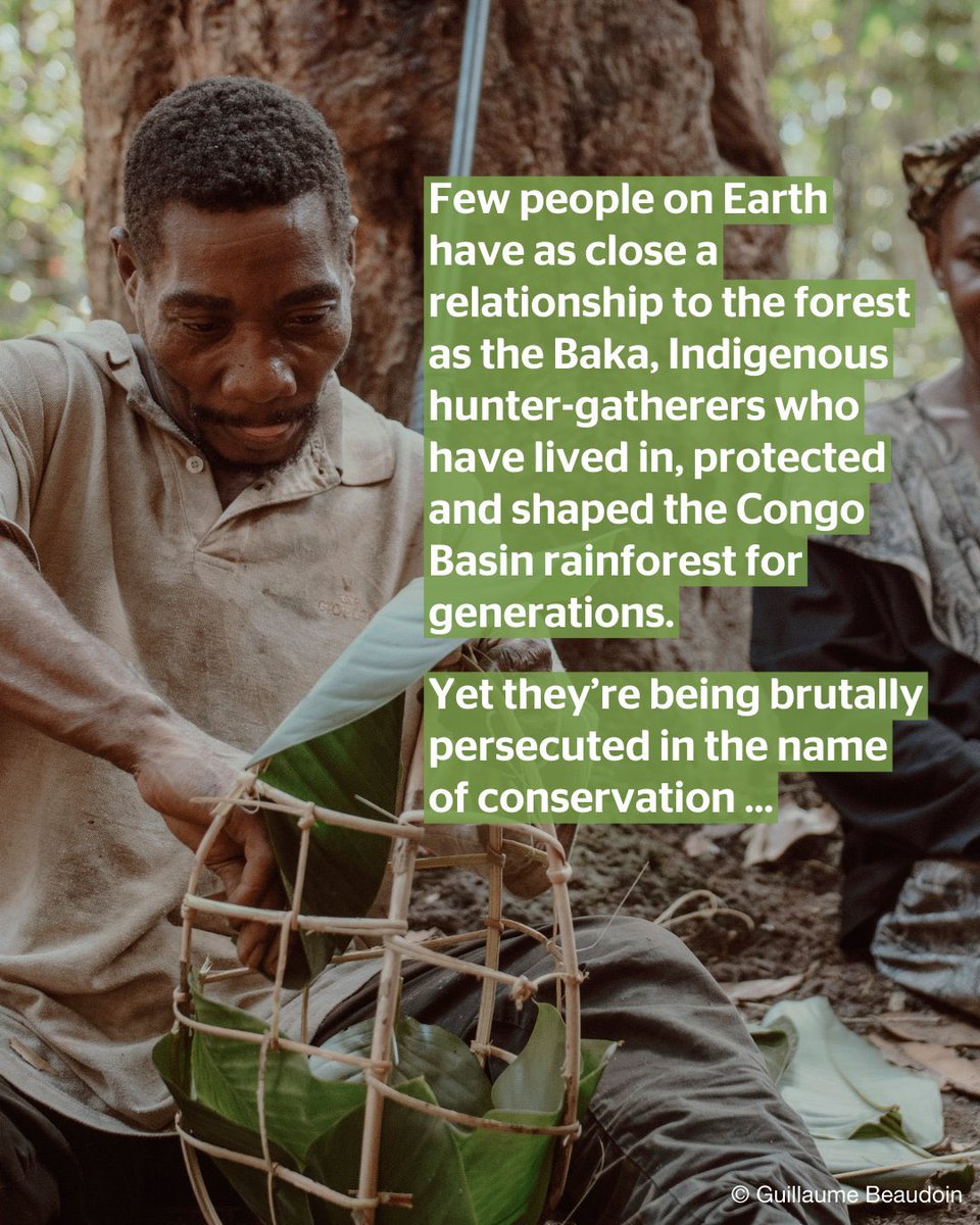 nancytsidley's tweet photo. H&amp;M don’t care about Indigenous tribes. Harry &amp; @AfricanParks are committing green genocide. #JusticeForTheBaka #FOHarry #InvictusSpirit #sharedjourney #InvictusGamesVancouverWhistler
#ExploreTogether #IG25 #InvictusGames25 #IG2025 
Please share 👇👇 

https://t.co/kCgqOoC9gQ… https://t.co/5fVIuE6IJn