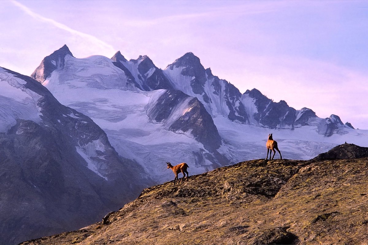 Le #montagne si stanno scaldando più velocemente della media del Pianeta: rischiamo di perdere non solo i #ghiacciai ma anche l'acqua 'nascosta' presente nelle aree montane. Ne parliamo con Michele Freppaz, nivologo ed esperto di suoli d'alta quota: fondoambiente.it/news/lacqua-na…