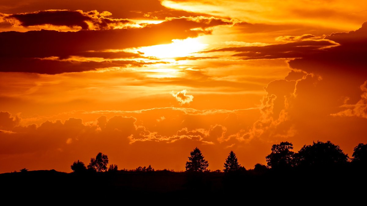 Maaria Parryn ja Tuukka Raution <a href="/ELYkeskus/">ELY-keskus</a> artikkeli "Kansallinen ilmastonmuutoksen sopeutumisen suunnitelma ja sen toimeenpano alueilla" Ympäristö ja Terveys-lehdessä 1/2024. "Suuri osa sopeutumisen edistämisen konkreettisista toimista edellyttää  paikallista toimeenpanoa."