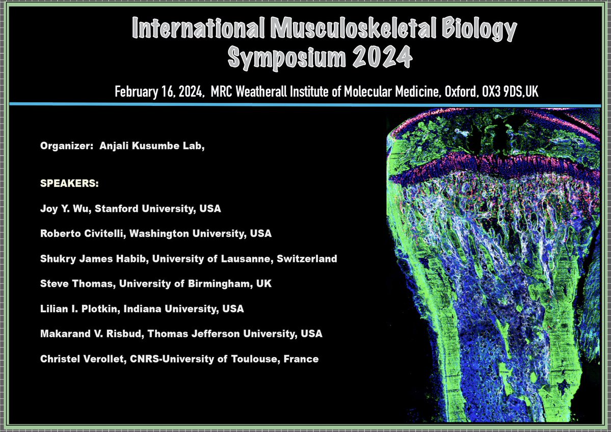 ChrisVerollet's tweet photo. Thank you very much @KusumbeLab for inviting me to this amazing symposium in Oxford 🥰. Glad to meet great new people from the bone field 🦴🩻🔬. https://t.co/gmA6eZ4GGb