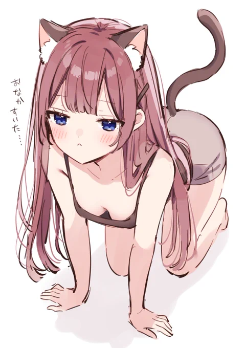 飼い猫