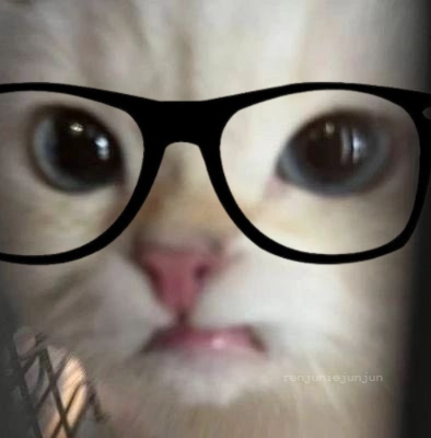 he really said : "😾👓 "