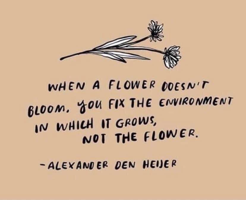 Dr. Bryan Pearlman #MaslowBeforeBloom (@drp_principal) on Twitter photo 