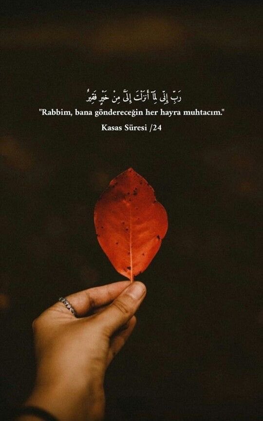 Muâf 🔻 (@mucahiid7) on Twitter photo 