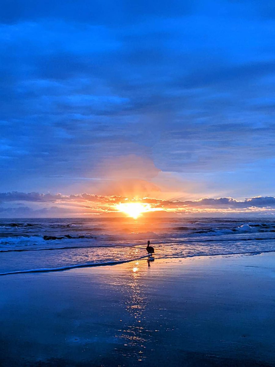 Morning has broken...just like myself.