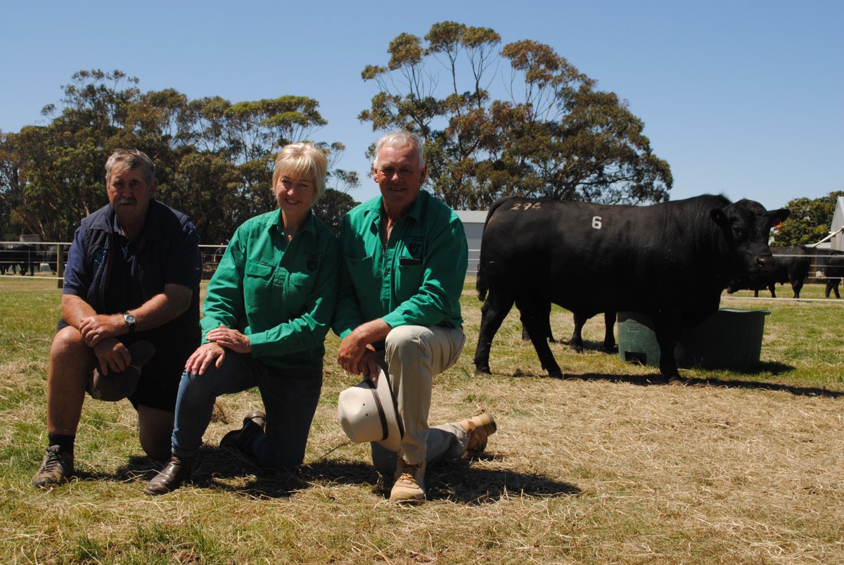 Barry Murphy tweet media