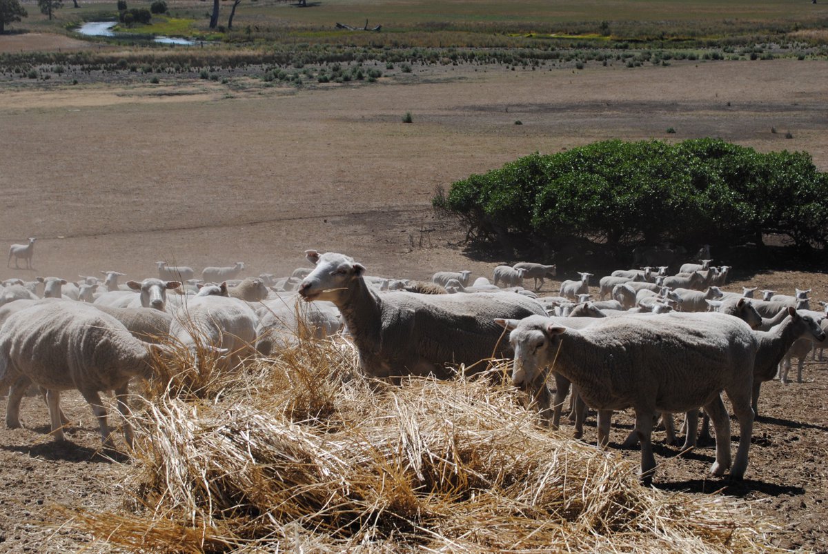 Barry Murphy tweet media