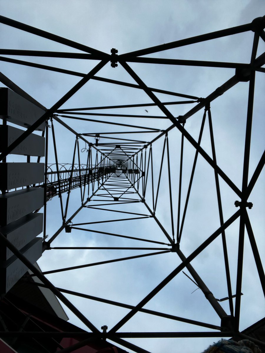 David Marples tweet media