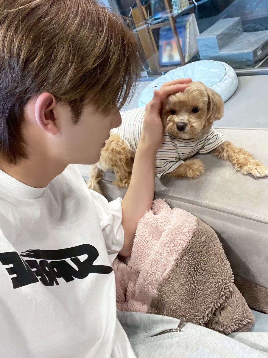 xikers_official's tweet photo. [#세은] 박세은 선정 세상에서 가장 귀여운 강아지 넘버원 축하드립니다 테디씨
#xikers #싸이커스 https://t.co/KGhLrtuht9