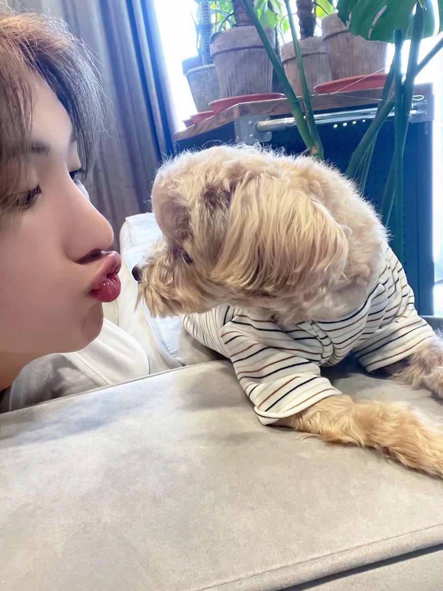 xikers_official's tweet photo. [#세은] 박세은 선정 세상에서 가장 귀여운 강아지 넘버원 축하드립니다 테디씨
#xikers #싸이커스 https://t.co/KGhLrtuht9