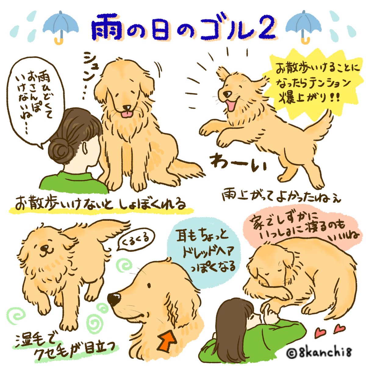 雨の日のゴル2☔️
#ゴールデンレトリバー
#犬のイラスト 