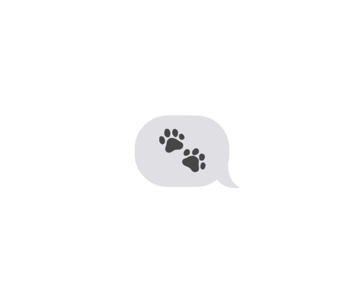 _tae_san's tweet photo. 🐈‍⬛🖤🐾 https://t.co/G0YvyLtYJL