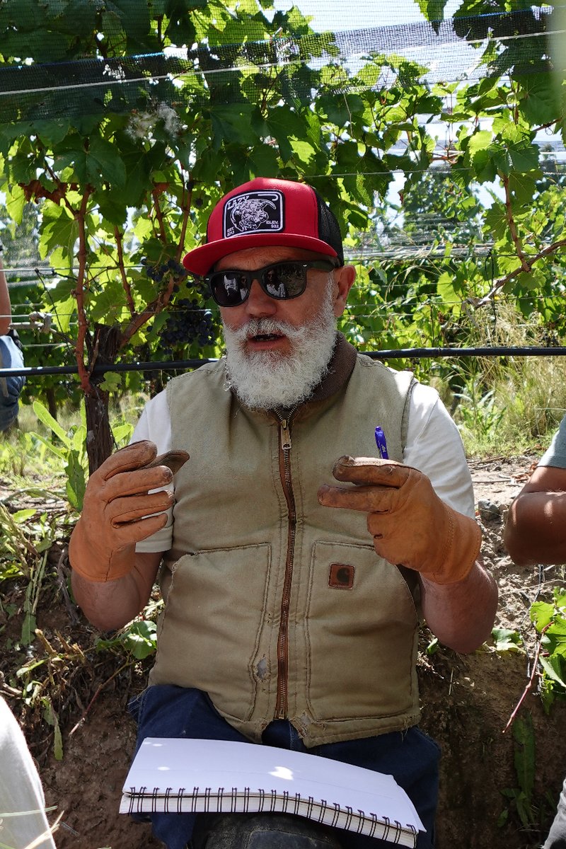 ALHmalbec's tweet image. Altos Las Hormigas is excited to welcome the Master Marco Simonit in #Mendoza, his groundbreaking approach to #pruning has powered the wines we admire around the world and can open a new vision for #JardindeHormigas

#marcosimonit #terroirisconnection #VinesShallLive100Years