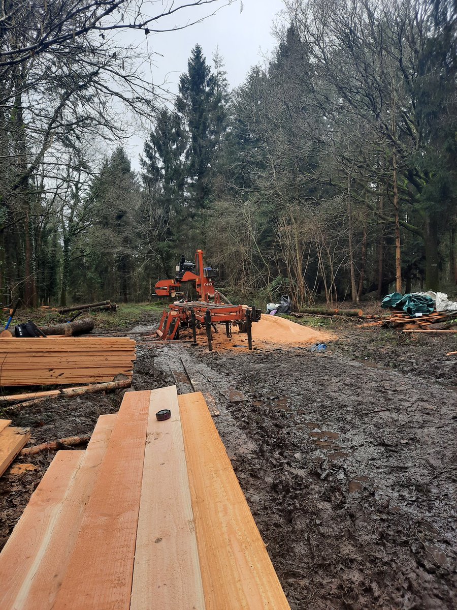 WoodlouseInd's tweet photo. Plopping around on a ploppy sort of site, milling some rather lovely Douglas Fir 🌲🌲 https://t.co/gGSu9b8tyv