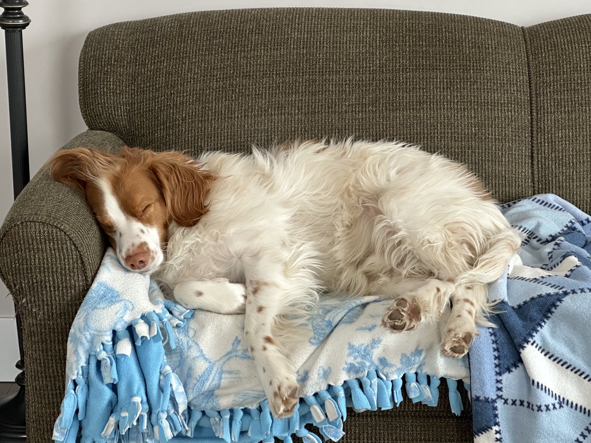 Faith Matchett tweet media