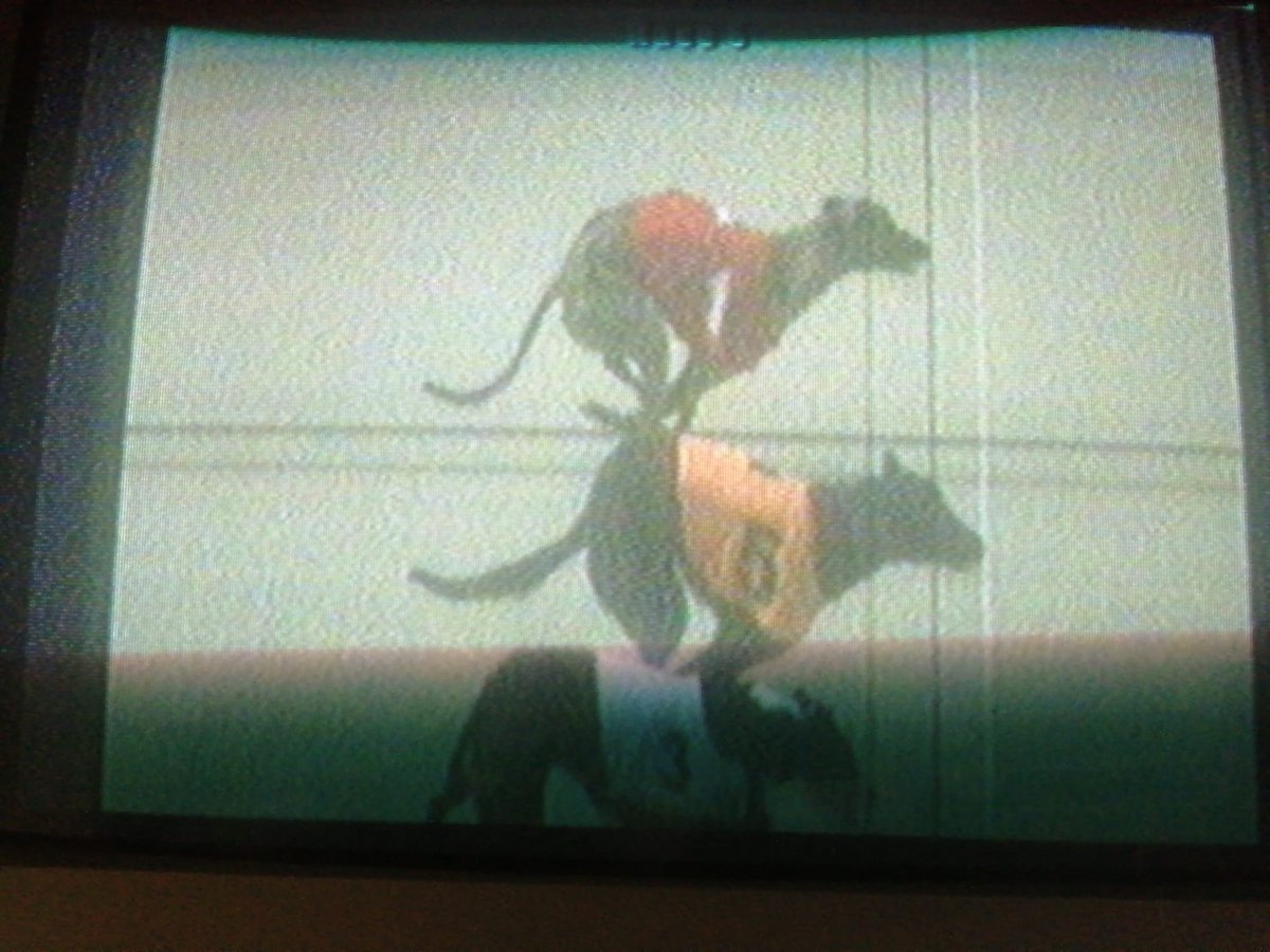 Mullingar Greyhound Stadium tweet media
