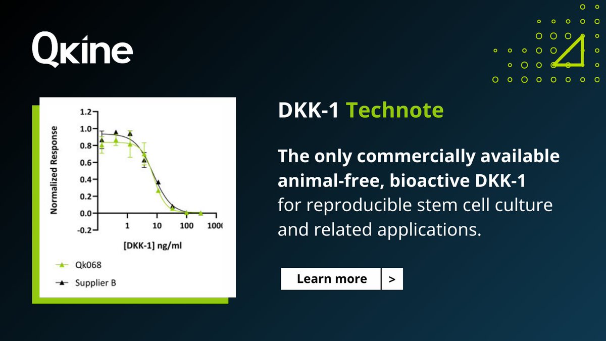 Qkine has recently developed DKK-1 (Qk068), the only commercially available animal-free, highly bioactive DKK-1 for highly reproducible stem cell culture and related applications. See more data here - zurl.co/oVck #GrowthFactor #StemCells #Mesenchymal #AnimalFree