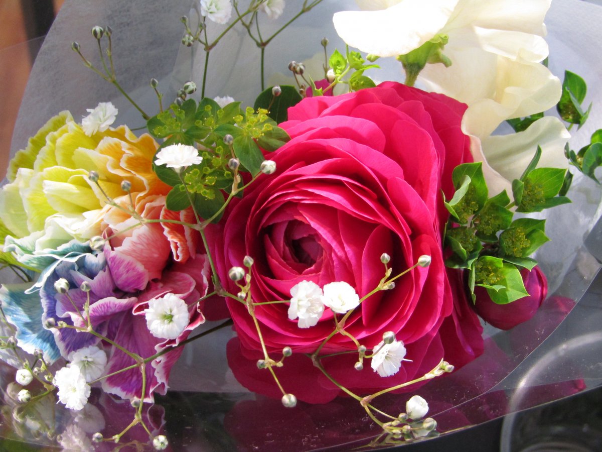 nobokouchan's tweet photo. 花の繊細な花びらには優しさがある。そっと触れると、弾力のある感触が手に伝わる。まるで生き物のように温もりを感じることもある。その優しさに癒され、心が安らぐのを覚える。忙しい日常の中で、一瞬だけ花と向き合う時間を作る。すると、心に余裕が生まれる。 https://t.co/lwlYMHhG0v