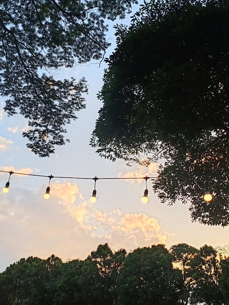 Wellness!!
<a href="/Yogapetz/">Yogapetz</a> 
#Well
$WELL