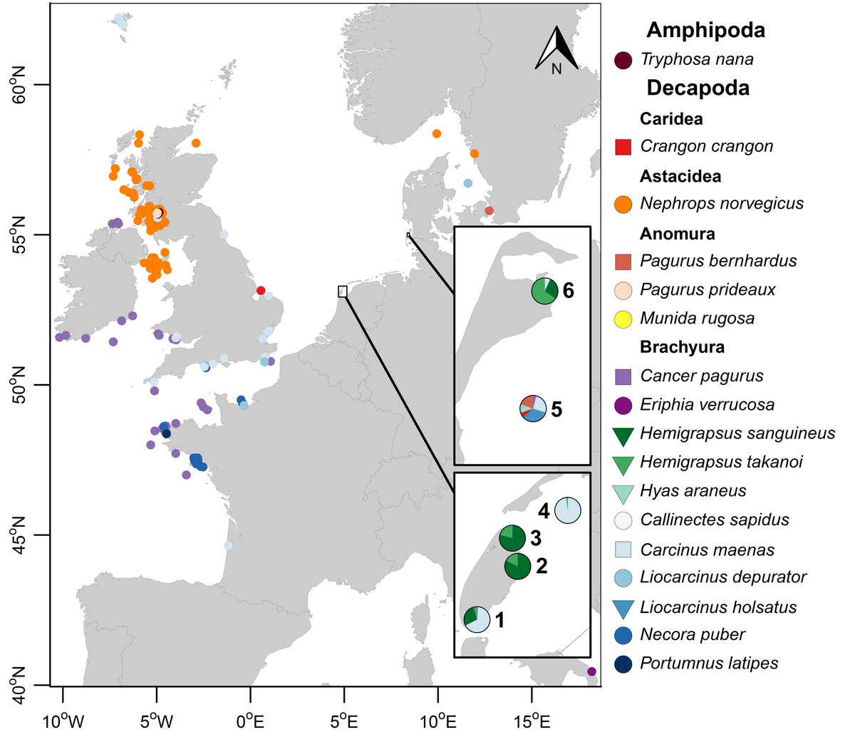 David W. Thieltges tweet media